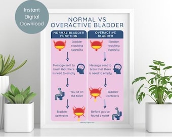 Normal vs Overactive Bladder Poster | Pelvic Floor Art (Digital Download)