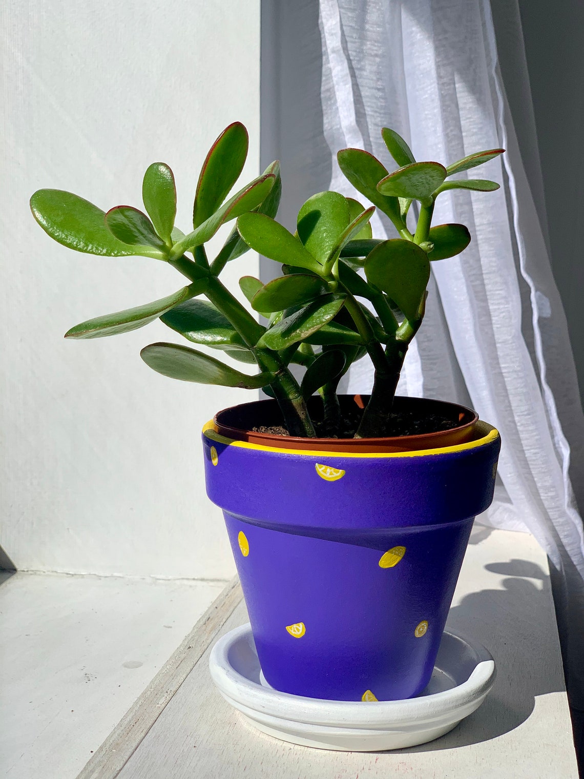 Lemon Hand Painted Purple Pot for Plants Indoor Planter Etsy