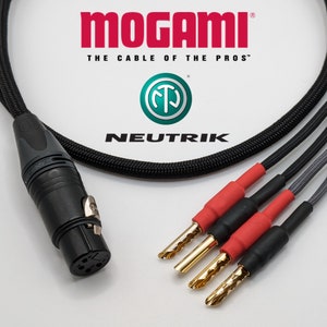 Adaptor Cable - Speaker Banana Plugs to Female 4 Pin XLR