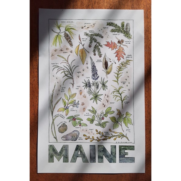 MAINE Flora, Signs of Fauna print
