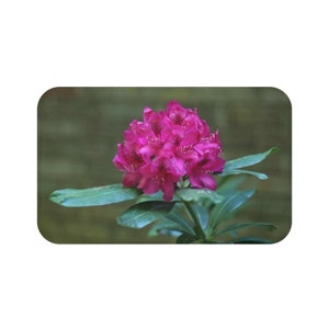 May include: A close-up of a vibrant pink rhododendron flower in bloom. The flower is surrounded by green leaves and a blurred green background.