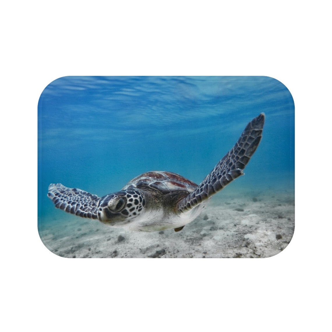 sea turtle home decor