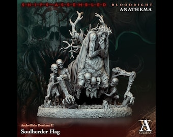 Soulherder Hag - Bloodright Anathema - Highly Detailed Resin 8k 3D Printed Miniature