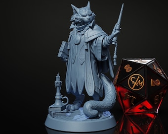 Arthur, The Spellmeowster - Tabaxi Wizard/Sorcerer - Heist at Dragon's Keep - Highly Detailed Resin 8k 3D Printed Miniature