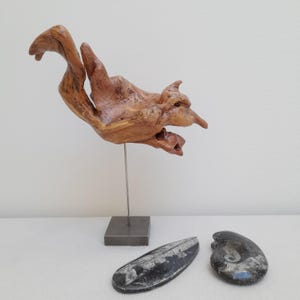Könnte beinhalten: Eine Holzskulptur eines stilisierten Vogels im Flug, montiert auf einem Metallständer. Zwei versteinerte Ammoniten liegen auf einer weißen Oberfläche unter der Skulptur.