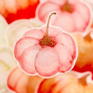 Sticker autocollant transparent | Citrouille rose d'automne | Pour vos carnets, papeterie, décoration scrapbooking Halloween, cottagcore