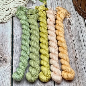 Meadows Rae’s - Mini Skein Sock Kit, Merino/Nylon Sock Mini Skeins, Fingering, Monster Sock Mini Set, Scrappy Socks, Gift for Knitters