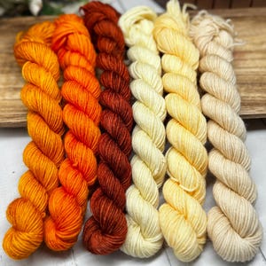 Creamsicle - Mini Skein Sock Kit, Doodle Sock Yarn, Fingering, DK, Worsted, Monster Sock Mini Set, Scrappy Socks, Colorwork, Knitting