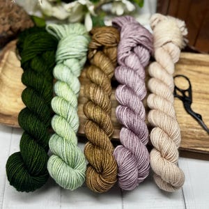 Take Me to Paris - Mini Skein Sock Kit, Doodle Sock Yarn, Fingering, Monster Sock Mini Set, Scrappy Socks, Colorwork, SW Merino/Nylon,