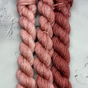 Rose Reverie - 3 Skein Mini Fade Set, Merino/Nylon Sock Mini Skeins, Fingering, Monster Sock, Scrappy Socks, Gift for Knitters, Yarn