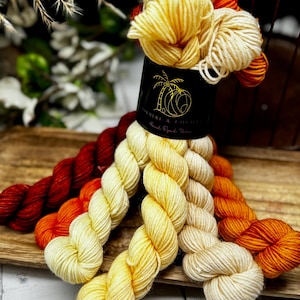 Creamsicle - Full Size Skeins Set, Doodle Cowl, Fingering, Worsted, Monster Sock Set, Shawl Set, Colorwork, SW Merino/Nylon, Knitting