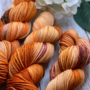 Autumn Harvest - Orange, Burgundy, Brown, Plum, Fall Colors, Pumpkin Colors, Tabby, Calico, Hand Dyed 85/15 Superwash Merino Nylon Worsted