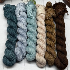 Sea Glass -  Mini Skein Sock Kit, Doodle Sock Yarn, Fingering, DK, Worsted, Monster Sock Mini Set, Scrappy Socks, Colorwork, Knitting
