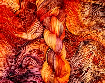 Autumn Harvest - Orange, Burgundy, Brown, Plum, Fall Colors, Pumpkin Colors, Tabby, Calico, Hand Dyed Superwash Merino Nylon Worsted