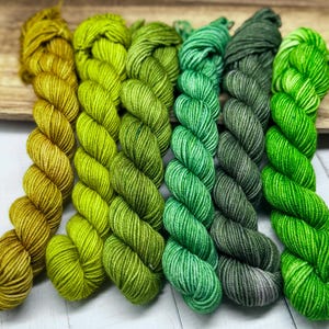 Highlands - Mini Skein Sock Kit, Doodle Sock Yarn, Fingering, Monster Sock Mini Set, Scrappy Socks, Colorwork, Worsted, DK, Knitting