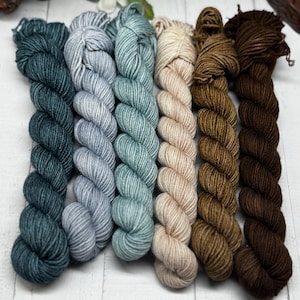 Sea Glass - 50g Skeins Set, Doodle Sock Yarn, Fingering, Worsted, Monster Sock Set, Scrappy Socks, Colorwork, SW Merino/Nylon, Knitting