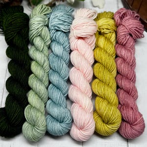 Dancing Bears - 50g Skeins Set, Doodle Sock Yarn, Fingering, Worsted, Monster Sock, Scrappy Socks, Colorwork, SW Merino/Nylon, Knitting