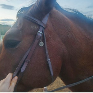 Flawed - Bless this horse and rider - Bridle charm