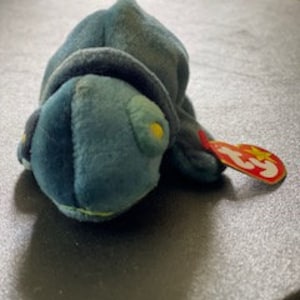 Rainbow the Chameleon