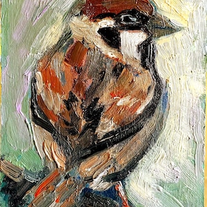 Pintura de pássaro. Pintura original de pardal. Pintura a óleo em miniatura de pardal. Arte de pássaro. Retrato de pardal. Papelão de 7\5 polegadas. Para amantes de pássaros.