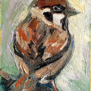 Pintura de pájaros. Pintura original de gorrión. Pintura al óleo en miniatura de gorrión. Arte de pájaros. Retrato de gorrión. Cartón de 7\5 pulgadas. Para los amantes de las aves.