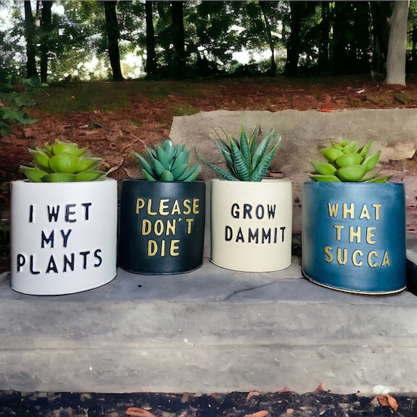 Novelty plant pot | Plant pot and pot rest | House warming gift | New home gift | Teacher gift | End of term gift | Nursery staff gift | pot