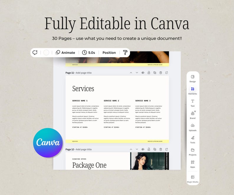 May include: A digital document template, labelled "Fully Editable in Canva", with 30 pages. The template includes sections for services and package details, with a Canva logo. The design is clean and modern.