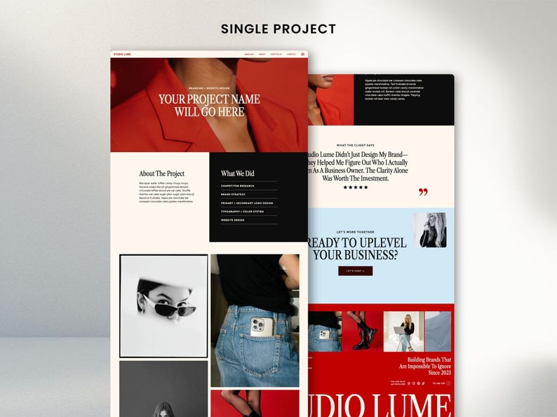 May include: A website design mockup with a red and white color scheme. The text "SINGLE PROJECT" is at the top. The website includes sections for project details, client testimonials, and a call to action. The text "YOUR PROJECT NAME WILL GO HERE" is displayed prominently.