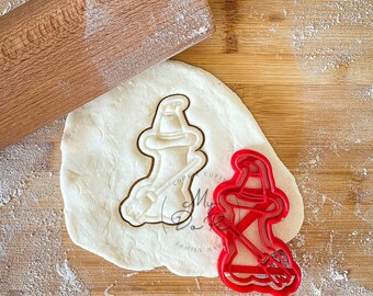 Penis Witch cookie cutter | Halloween Penis | MyDoPe cookie cutter | Adults cookie cutter