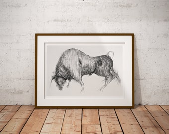 Bull (Toro): Charcoal Bull Animal Portrait Original Art Print A4 A3