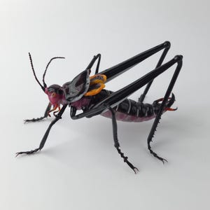 May include: A detailed, close-up view of a large insect model. The insect has a black body, long legs, and antennae. The head is pink and purple, with orange and yellow accents on the wings. The model is set against a white background.