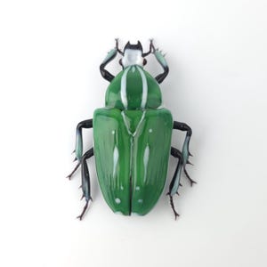 Mecynorrhina ugandensis glass sculpture, Hand blown glass insect lampwork figurine, Perfect gift for entomology and bug lovers