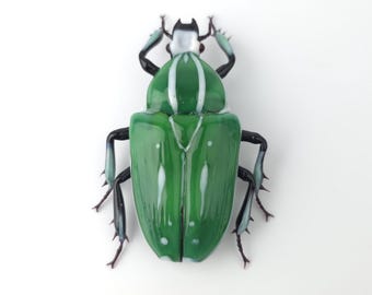 標本 Telotoma hayesi 86mm Telotoma Hayesi Beetle Sculpture, Hand Blown Insect Figurine