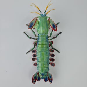 May include: A detailed, hand-painted sculpture of a mantis shrimp. The sculpture features a vibrant color palette of greens, blues, reds, and yellows. The crustacean is depicted with intricate details, showcasing its segmented body and prominent eyes.
