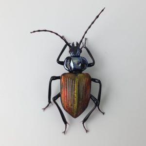 Calosoma scrutator glass sculpture, Hand blown glass insect lampwork figurine, Perfect gift for entomology and bug lovers