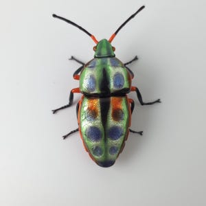 Shield bug glass sculpture, Hand blown glass insect lampwork figurine, Perfect gift for entomology and bug lovers