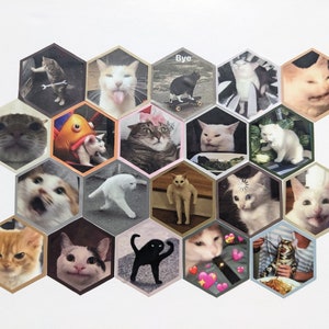 Stickers chats hexagonaux. Imperméable et résistant aux intempéries.