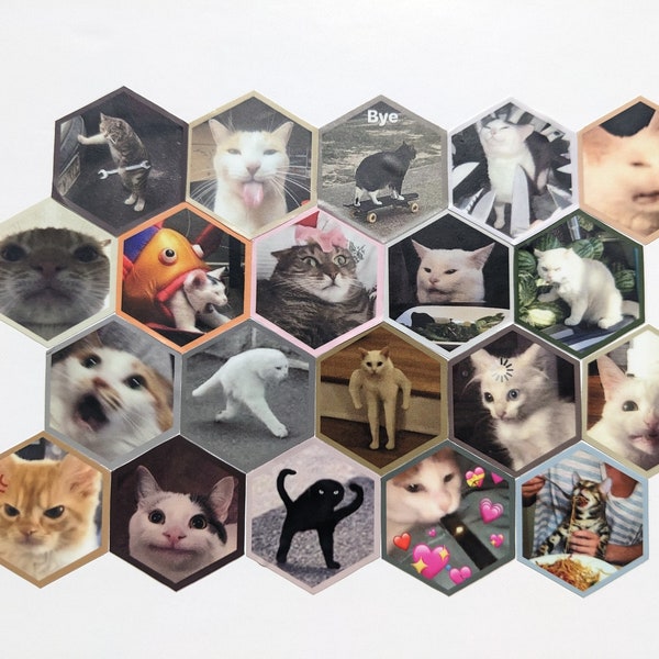 Hexagonal Cat Meme Stickers. Waterproof and Weatherproof.