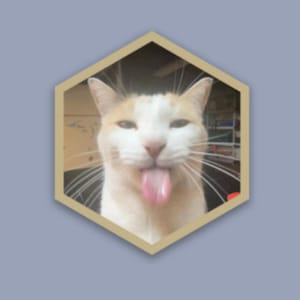 Pegatina de gato tonto, resistente al agua y a la intemperie