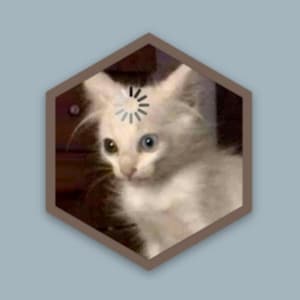 Könnte beinhalten: Ein weißes Kätzchen mit blauen und grünen Augen blickt in die Kamera. Das Kätzchen hat langes, weißes Fell und sitzt in einer dunkelbraunen Holzkiste.