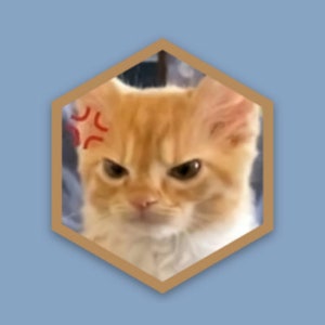 Angry Cat Sticker, Waterproof and Weatherproof