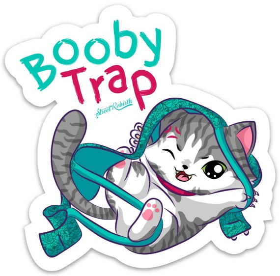 Booby Trap Pun 4 Inch Vinyl Stickers, Laptop Decal, Water Bottle Sticker,  Funny Pun Stickers, Small Gift Puns 