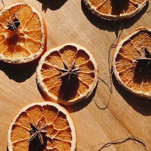 Dried Orange Christmas Ornaments - Set of 6