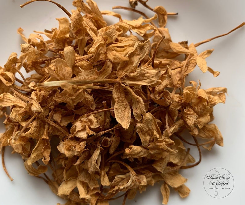 Dried Jasmine Flowers Jasminum Grandiflorum Fragrance Etsy