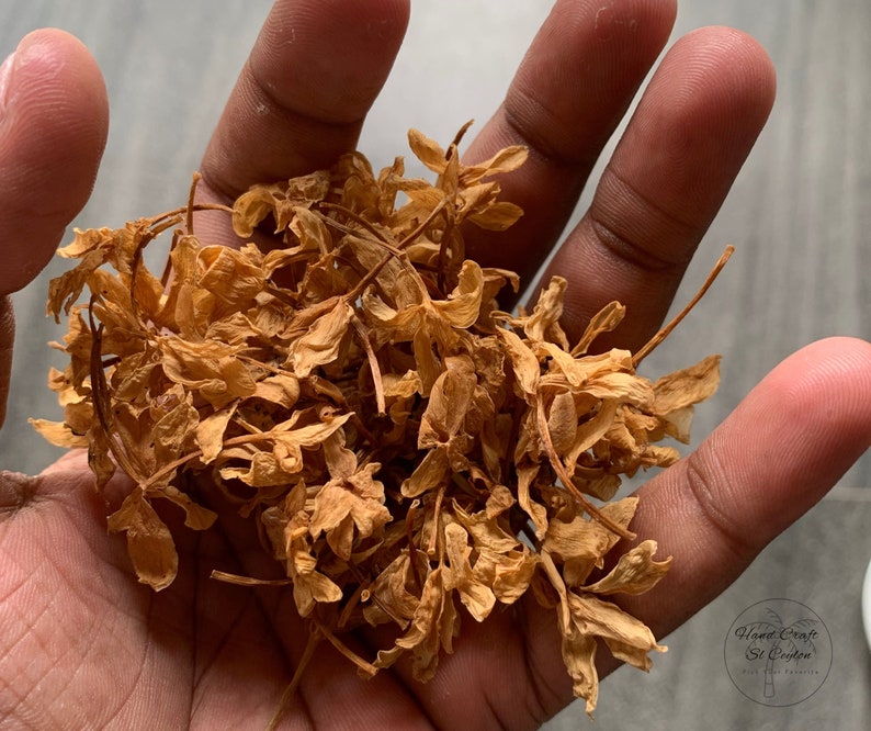 Dried Jasmine Flowers Jasminum Grandiflorum Fragrance Etsy