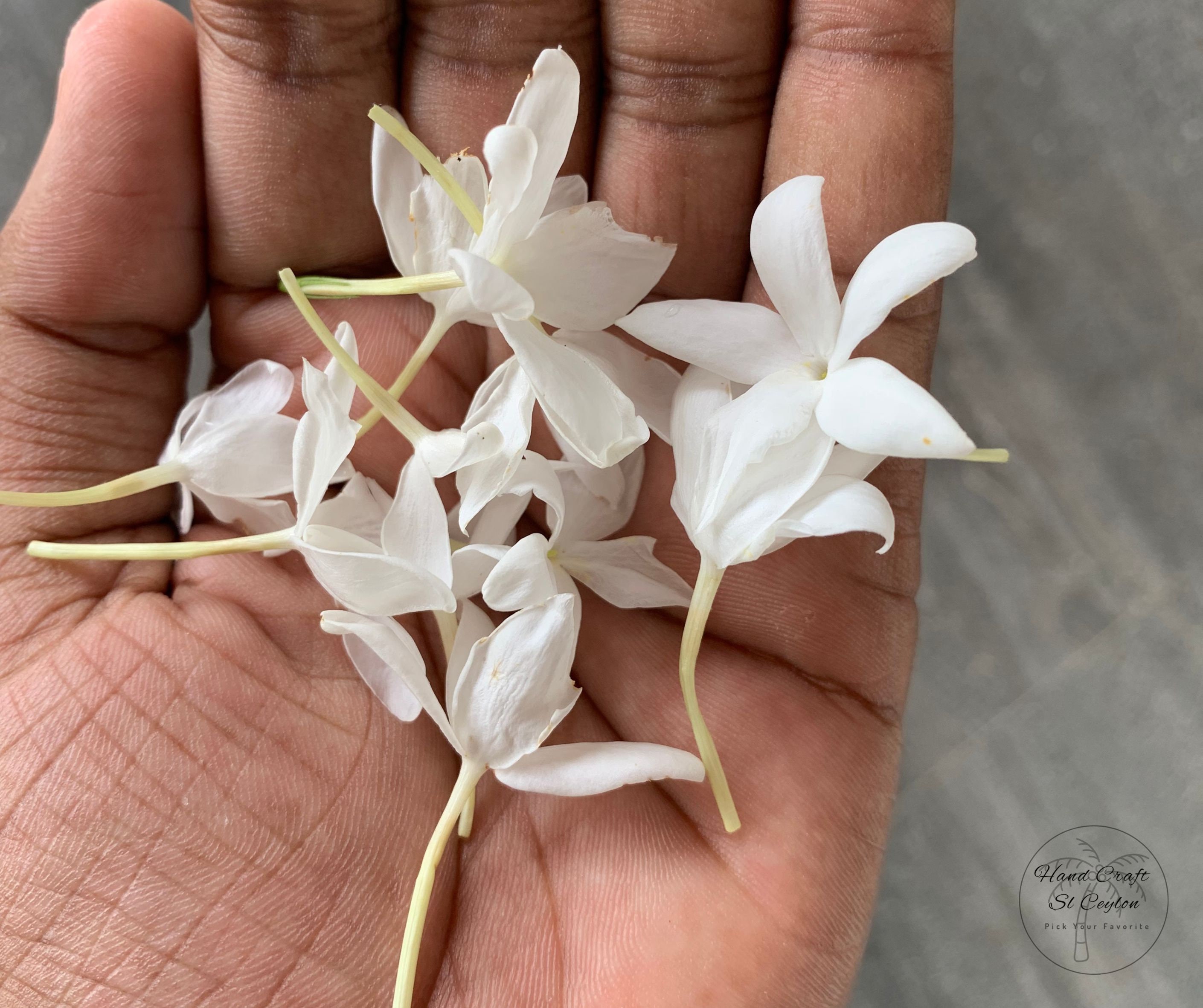 Dried Jasmine Flowers Jasminum Grandiflorum Fragrance Etsy