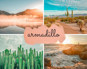 Armadillo Lightroom Preset