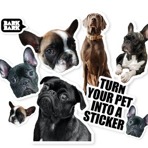 Pet Sticker, Pet Photo Sticker, Dog Sticker, Cat Sticker, Custom Pet Sticker, Custom Pet Photo Sticker, Photo Pet Sticker, Dog Mom Sticker