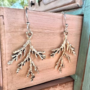 May include: A pair of gold-colored earrings in the shape of a branch. The earrings have a hook closure and are made of a metallic material. The earrings are displayed on a wooden surface.