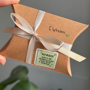 May include: A brown gift box with a white ribbon and a green sticker that says "REMINDER don't let anyone ever dull your sparkle". The box is labeled "Elphaba" with a green heart.